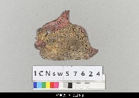 藏品(中國湖北皮影戲盔帽)的圖片